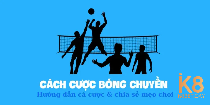 Các hình thức đặt cược môn bóng chuyền